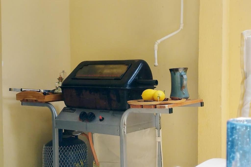 Garden Apartment With Bbq In The Athenian Riviera エクステリア 写真
