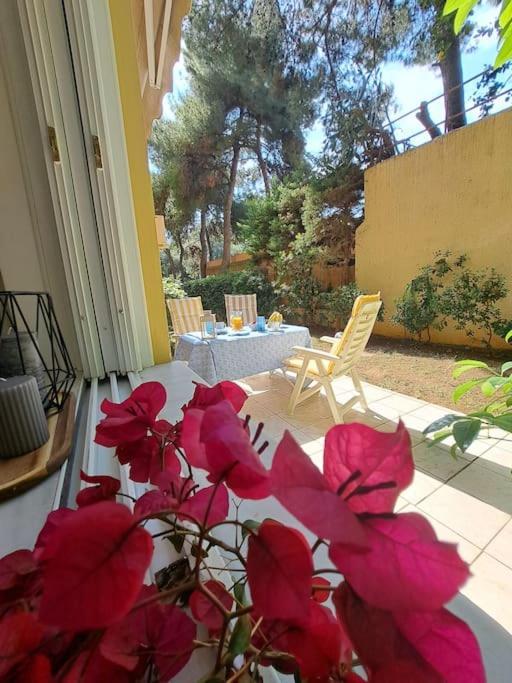 Garden Apartment With Bbq In The Athenian Riviera エクステリア 写真